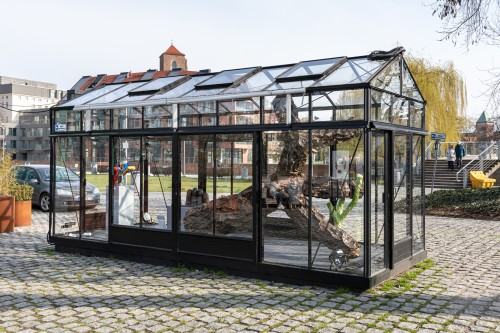 Hubert Bujak - D.N.A.