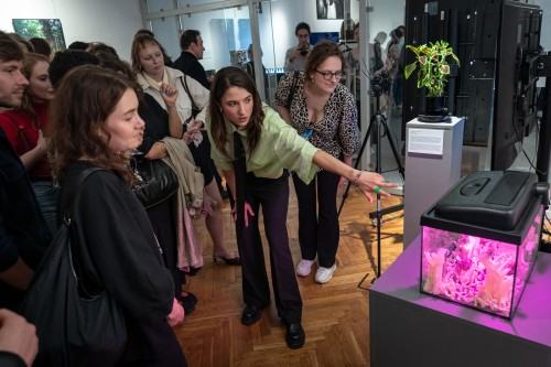 New Nature_wernisaż