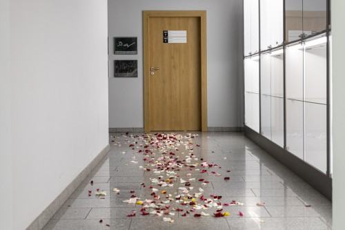 Kobierzec_Grzegorz Niemyjski