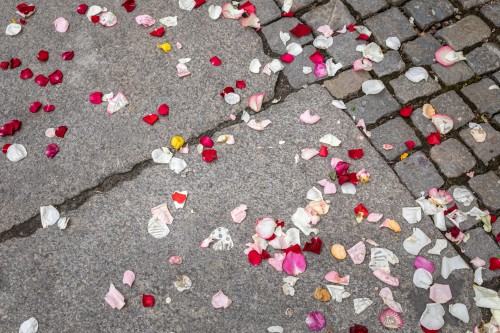 Kobierzec_Grzegorz Niemyjski