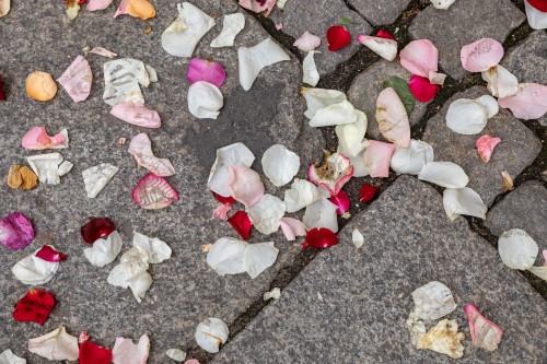 Kobierzec_Grzegorz Niemyjski