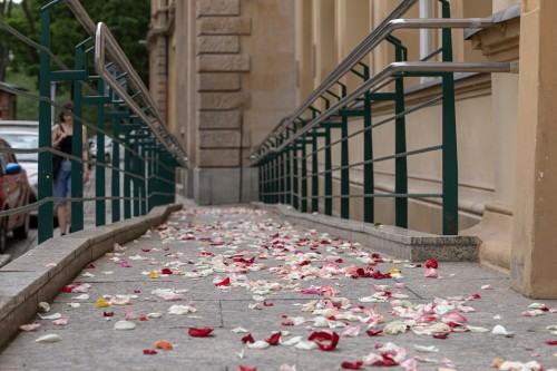 Kobierzec_Grzegorz Niemyjski