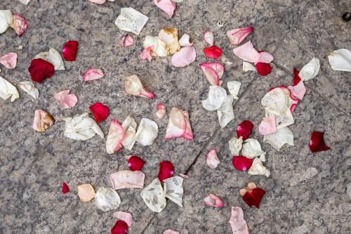 Kobierzec_Grzegorz Niemyjski