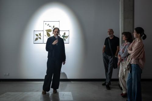 Ogród wojenny_oprowadzanie kuratorskie