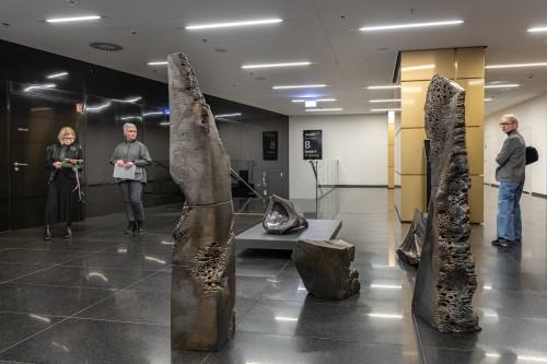 _mp_2441.jpg Solo i w duecie