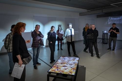 zdjęcie