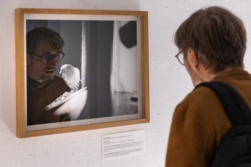 _mp_3269.jpg Nie czuj się jak u siebie w domu