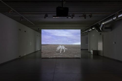2025.06.04 DOK Geppart Biennale Wro