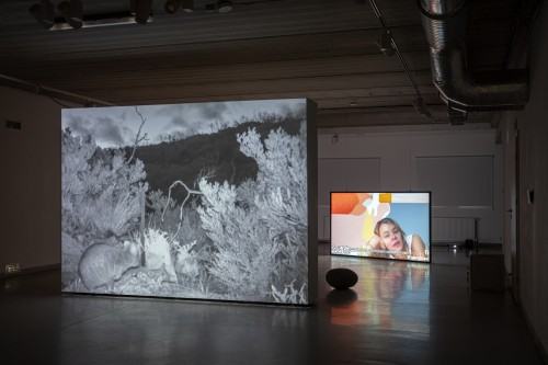 2025.06.04 DOK Geppart Biennale Wro