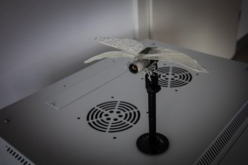 2025.06.04 DOK Geppart Biennale Wro