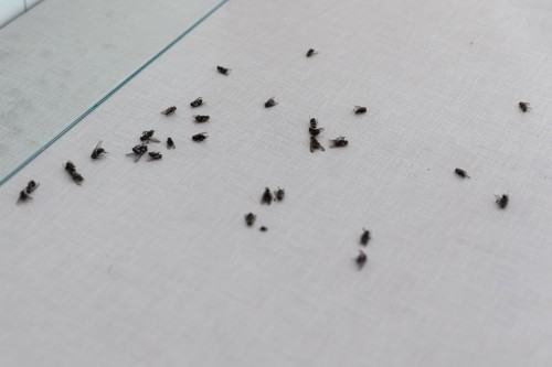 Katarzyna Bogusz 24/7