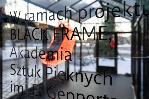 Kamila Mróz - Mrzonka