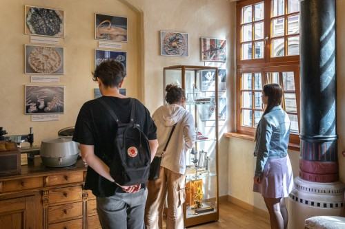 Iluminacja_oprowadzanie kuratorskie Iluminacja_oprowadzanie kuratorskie