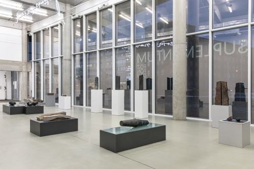 Krzysztof Rozpondek - Suplementum