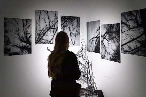 Nocne struktury_wernisaż