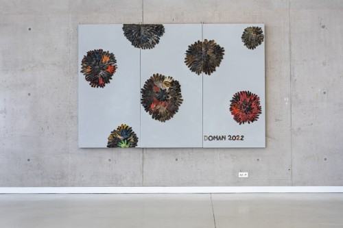 Tomasz Domański - Kolekcjoner