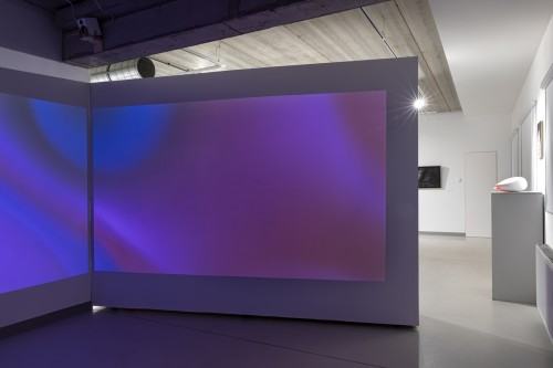 Wizja lokalna / 9. Festiwal Malarstwa