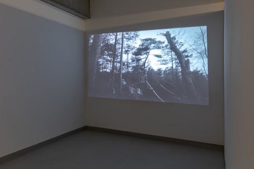 ISWWAUZ - Rekapitulacja