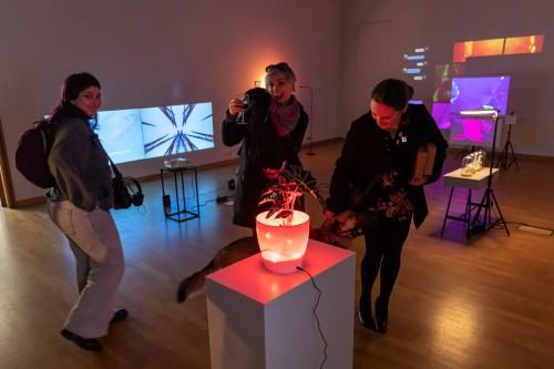 Artificial behaviours