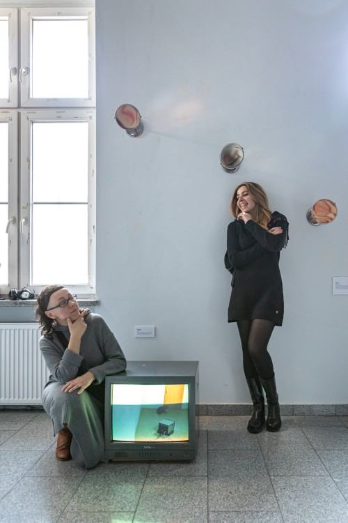 Artificial behaviours