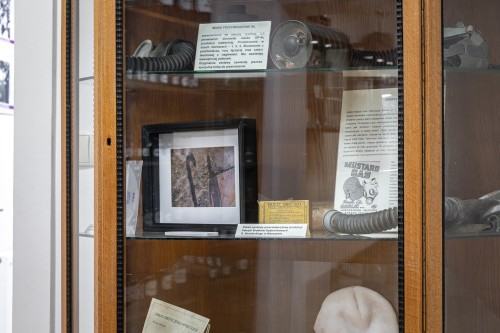 Międzynarodowa wystawa w Muzeum Literatury Litewskiej Maironisa w Kownie. Międzynarodowa wystawa w Muzeum Literatury Litewskiej Maironisa w Kownie.