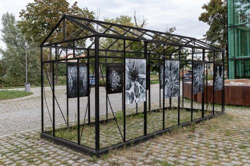 Anna Kodź_Black Frame