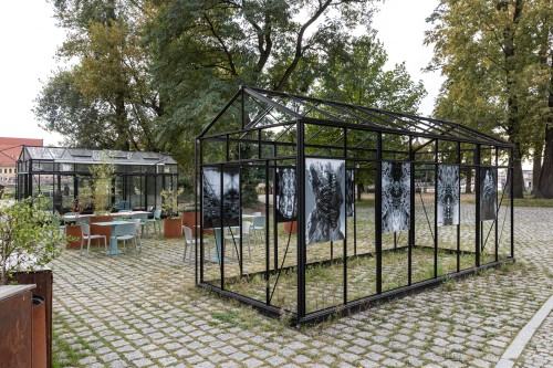 Anna Kodź_Black Frame