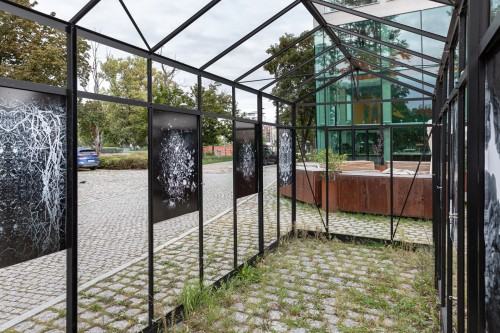 Anna Kodź_Black Frame