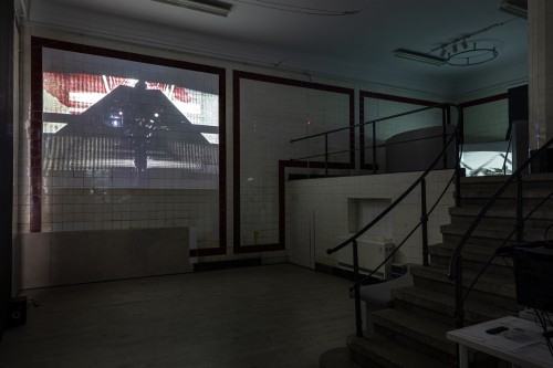 Embryogallery. Martwa przyszłość