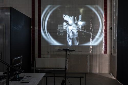 Embryogallery. Martwa przyszłość