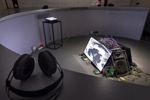 Embryogallery. Martwa przyszłość