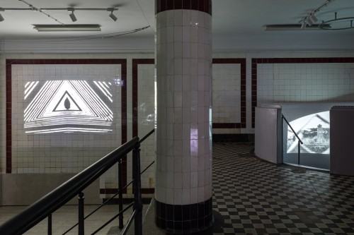 Embryogallery. Martwa przyszłość