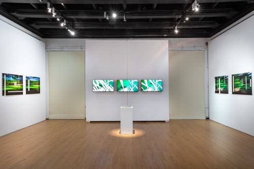 Michał Pietrzak Terytoria