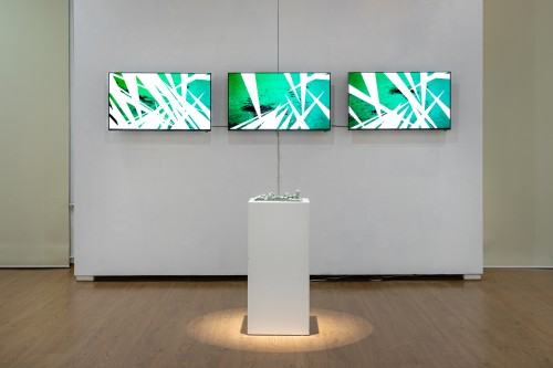 Michał Pietrzak Terytoria