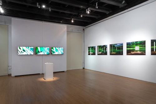 Michał Pietrzak Terytoria