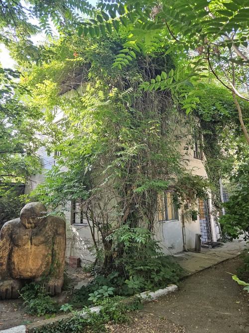 A line is more than a sign A line is more than a sign