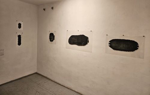 A line is more than a sign A line is more than a sign