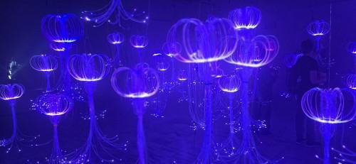 adaf_21.jpg Simulacra