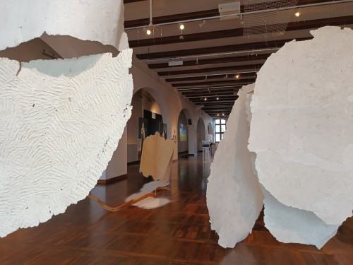 Najlepsze Dyplomy Artystyczne Akademii Sztuk Pięknych 2023