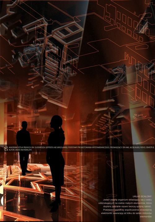 Anna Młynarczyk, Układ scalony, zdj. Anna Młynarczyk