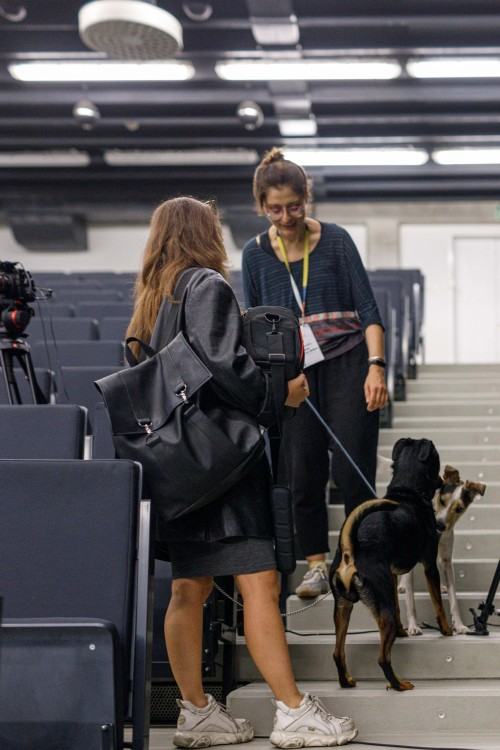 I Międzynarodowa Konferencja: Metodologiczne i Poznawcze Aspekty Sztuk Wizualnych