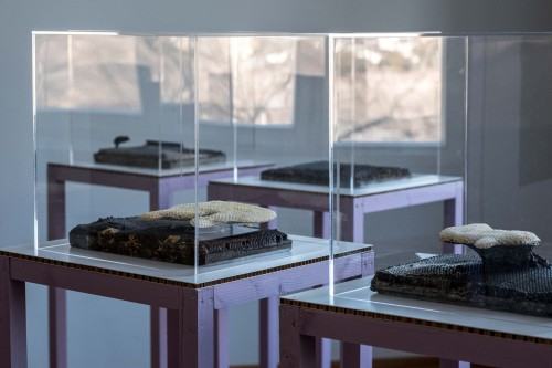 Stany wyjątkowe_Aula