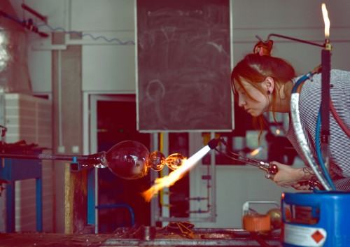 banka-kulka-fot.-g.-stadnik.