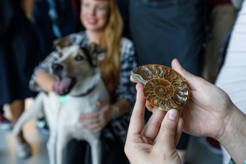 I Międzynarodowa Konferencja: Metodologiczne i Poznawcze Aspekty Sztuk Wizualnych
