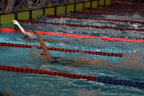 Akademickie Mistrzostwa Polski w Pływaniu