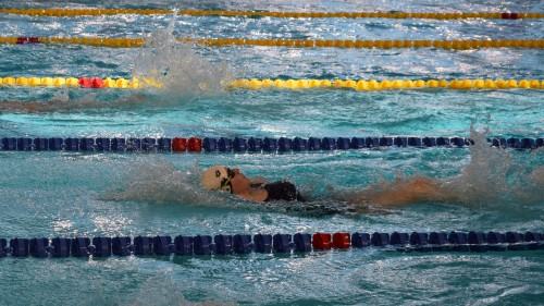 Akademickie Mistrzostwa Polski w Pływaniu