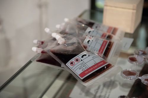 Wizerunek jako nasza matryca w paralelnym świecie malarskiej iluzji