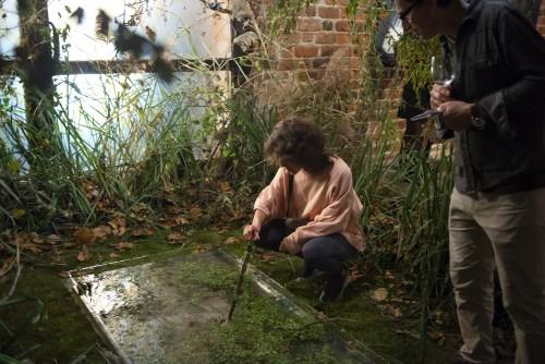 Wizerunek jako nasza matryca w paralelnym świecie malarskiej iluzji