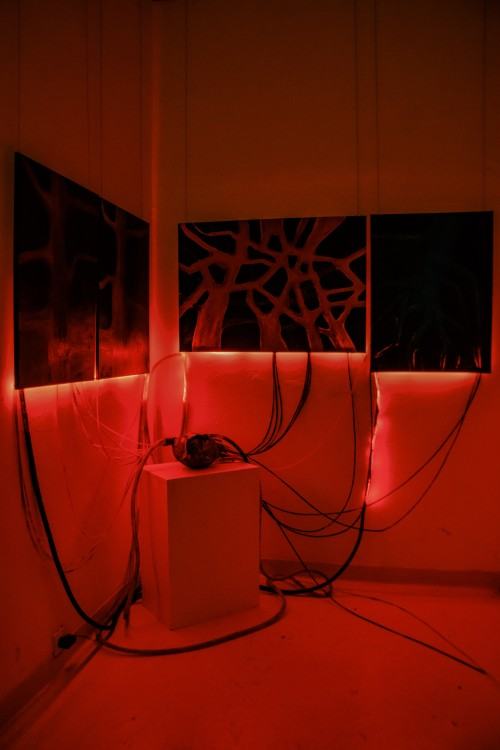 Wystawa Trucizna, zdj. Jagoda Patron