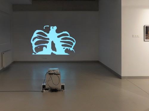 Wystawa Wasze domy nucą nasze pieśni Wystawa Wasze domy nucą nasze pieśni